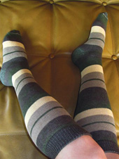 RocknSocks Coyote Striped Knee High Socks