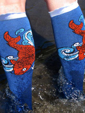 RocknSocks Koi Knee High Socks