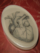 Anatomical Heart Soap
