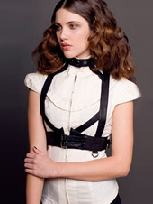 SkinGraft Bridle Harness