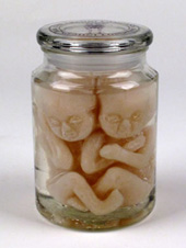 Pickled Punk Candle