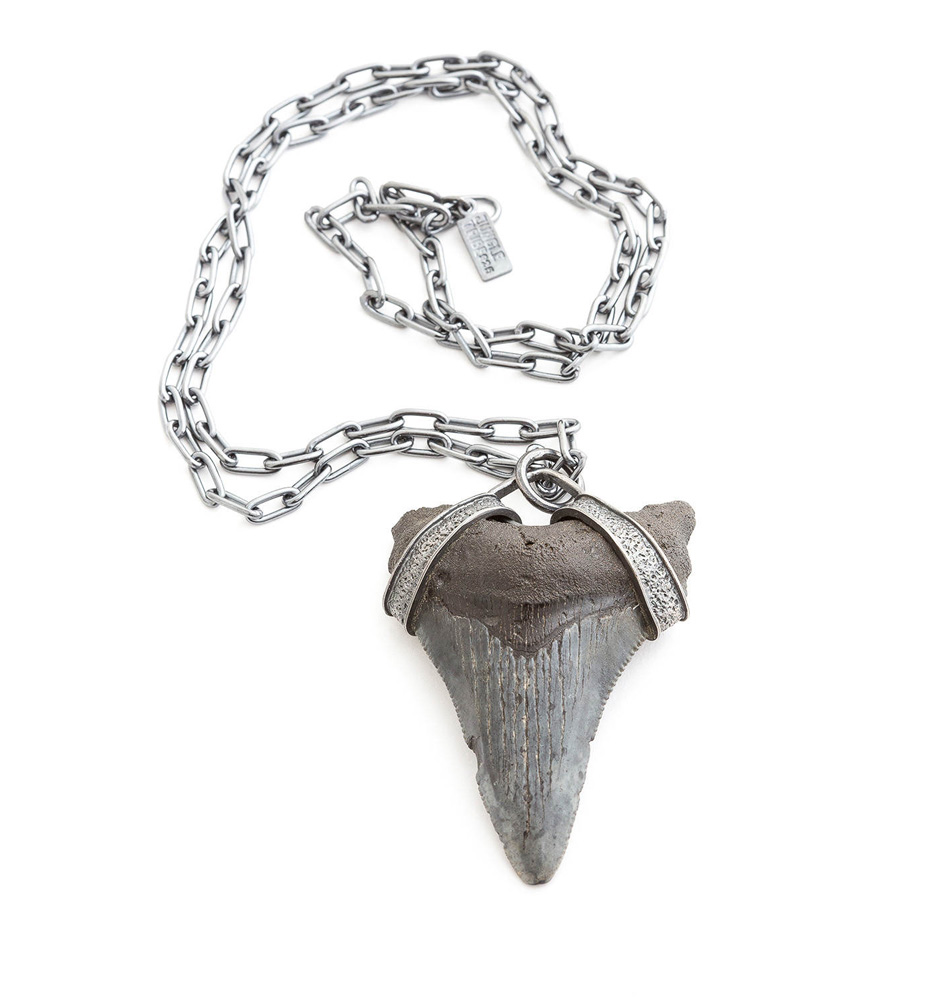 fossil shark tooth necklace
